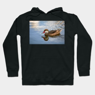 White-cheeked Pintail Hoodie